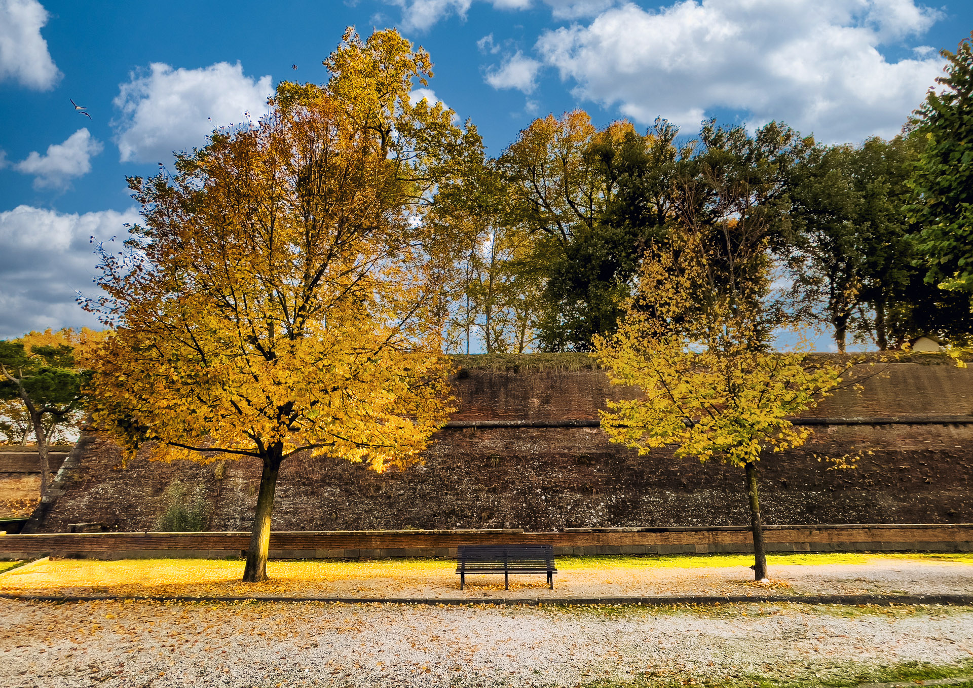 Lucca - Mura